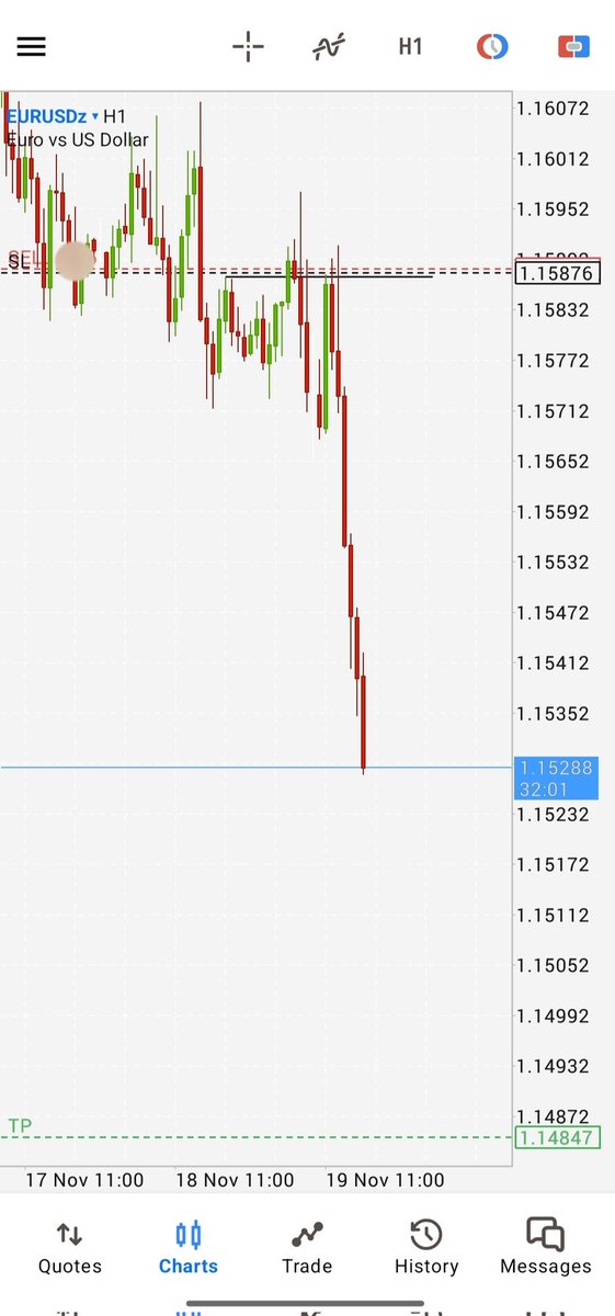 thorr ひ tweet media