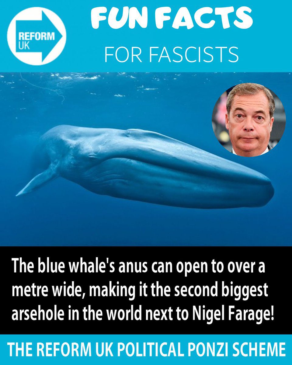 Brexit Air Cargo Ltd tweet media