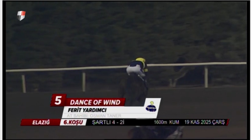 DANCE OF WIND seriye başladı 
Bursa'da ilk startında acayip sinyal idi
Kurtel nasıl koşamadı hayret