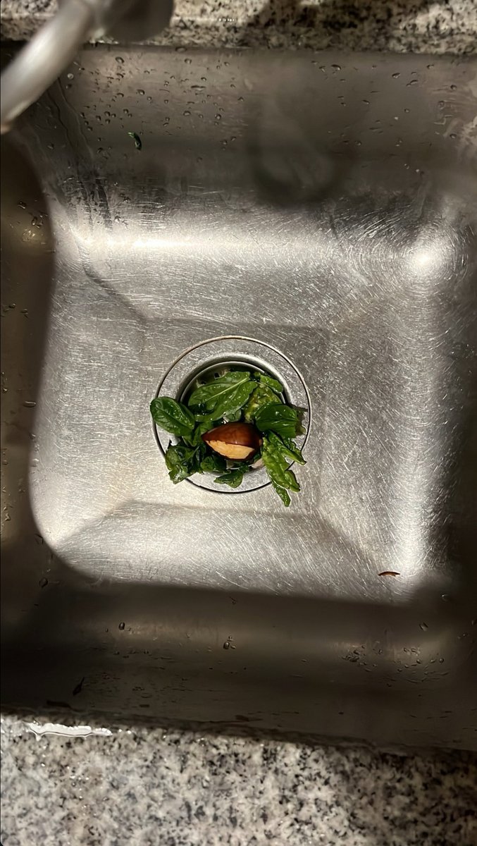 Alexis Moyano (@_alexismoyano) on Twitter photo 