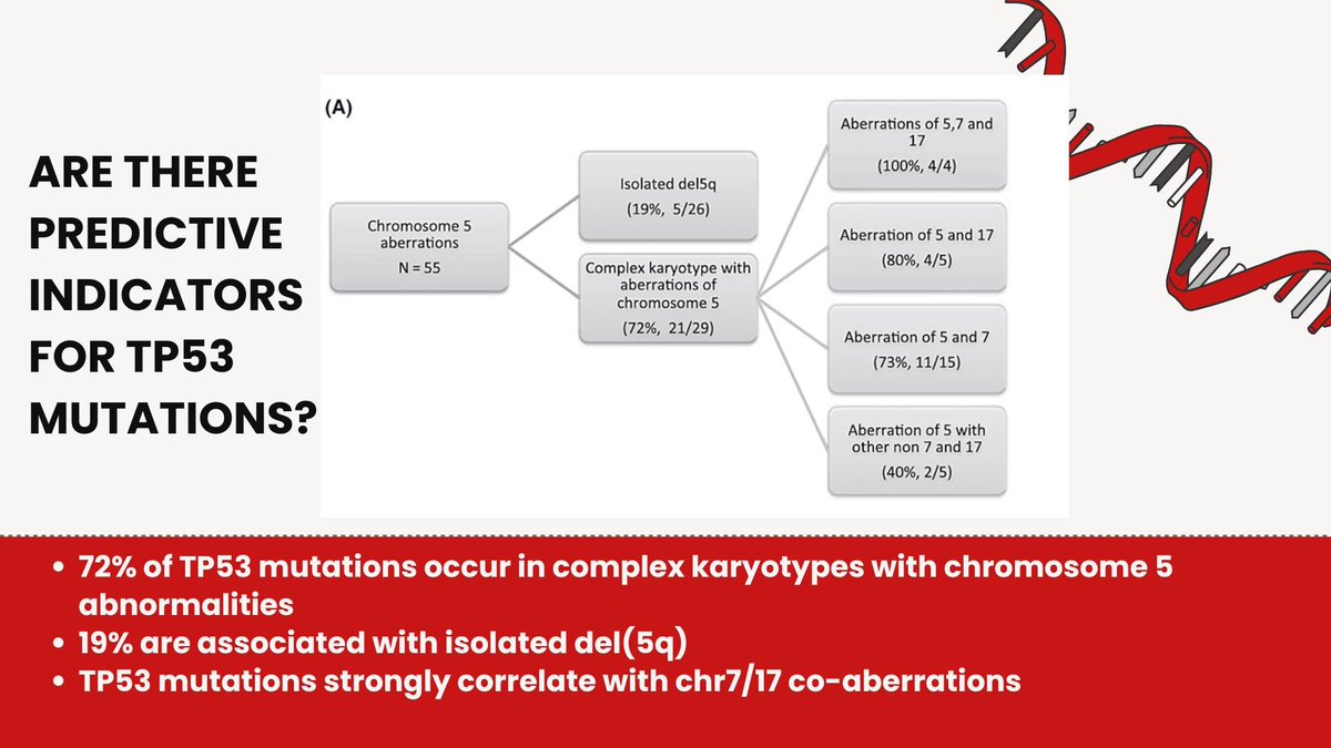 Fast4wardLearn's tweet image. Are there early cytogenetic clues to TP53 mutations in MDS/AML?
📌 72% occur in complex karyotypes involving chr5
👉 ~19% seen even with isolated del(5q)
🧬 Strongly linked to chr7/17 co-aberrations (73–100%)
Do cytogenetic patterns influence your suspicion before NGS results?…