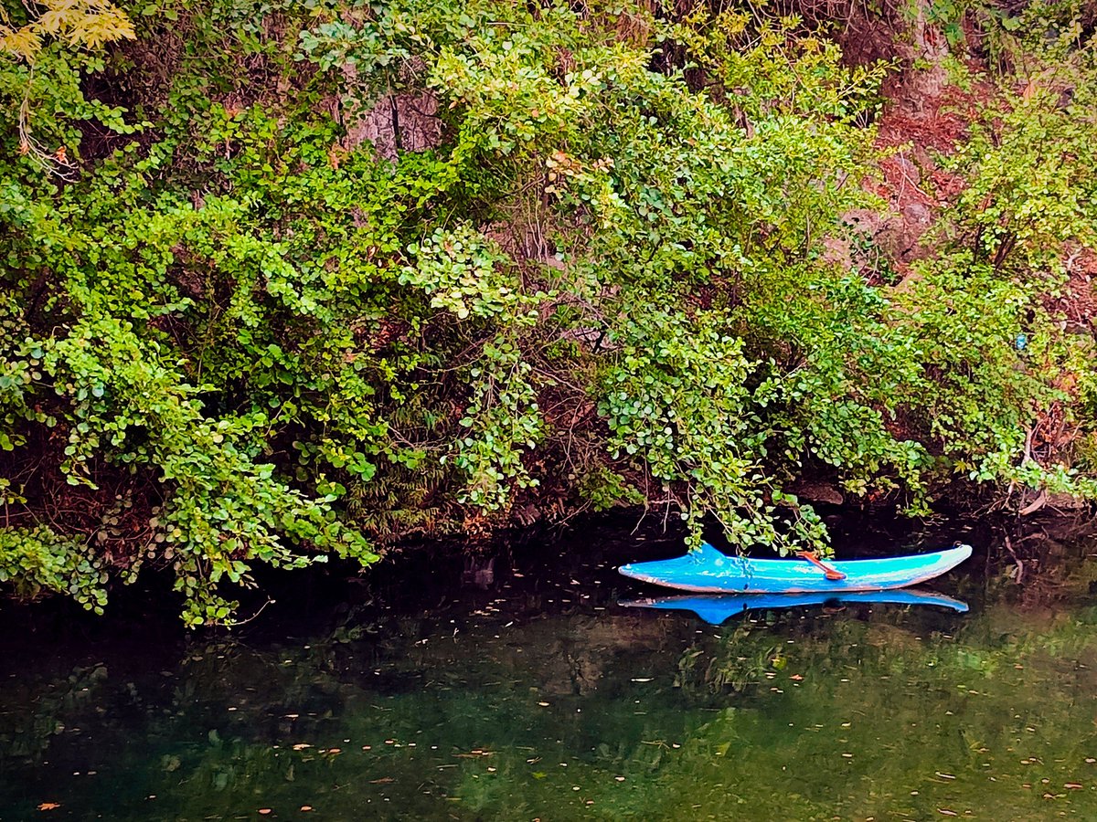Birhan Keskin/ zümrüdüanka

serin bir rüyanın hatırınadır
çektiğim dünya ağrısı.

bir hayalden geldim ben,
bir hayal verdim sana
mavi-yeşil bir hatıra: işte dünya
ruhum! ovada sert es, yamaçta sus,
ırmakta ağla.
işte dünya kapısı, işte dünya kederi
ister dağının gölgesinde dur,