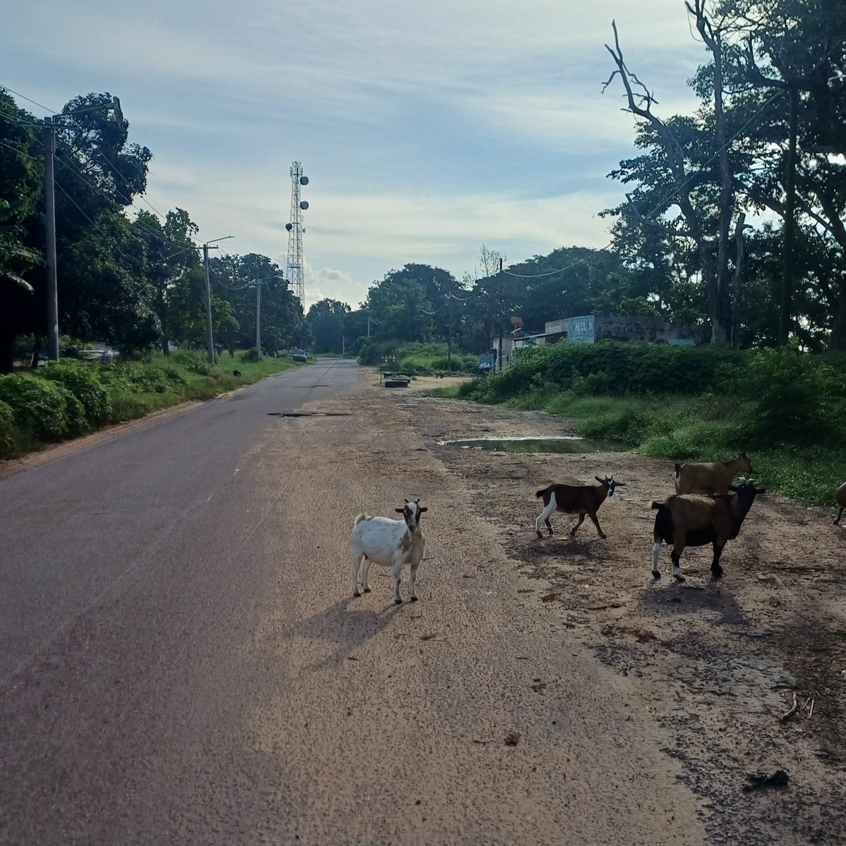 🇵🇱 Dzień 1954: dzisiaj kolejny powód do świętowania 🍻 bo właśnie przekroczyłem barierę 2️⃣0️⃣0️⃣0️⃣0️⃣ kilometrów pokonanych podczas jednej podróży 

Dwadzieścia tysięcy kilometrów pieprzonej przygody życia 😁 Oczywiście by było oryginalnie zrobiłem to idąc na piechotę z Cieszyna 😎