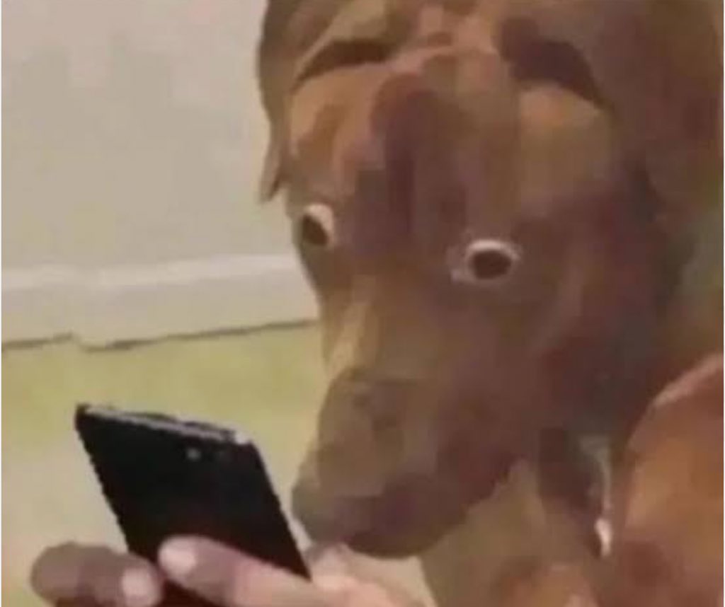 retogiaxe's tweet image. Nigerians finding out internet and electricity won’t exist during the war they’re foolishly calling for