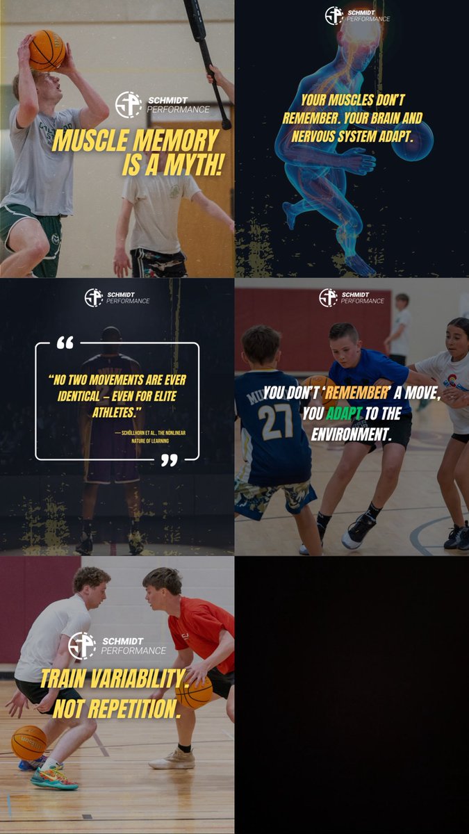 Schmidt Performance tweet media