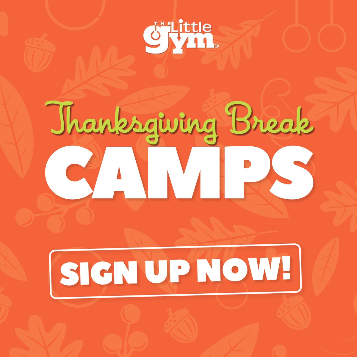 TLGSpring's tweet image. Camp starts Monday! 🎉 Drop your 3-8 year olds off from 1:15-4:15pm while you get a break. Fully bathroom-independent kids welcome! ✨ #LittleGym #SummerCamp #springtx #seriousfun #tlgspringtx #championforest