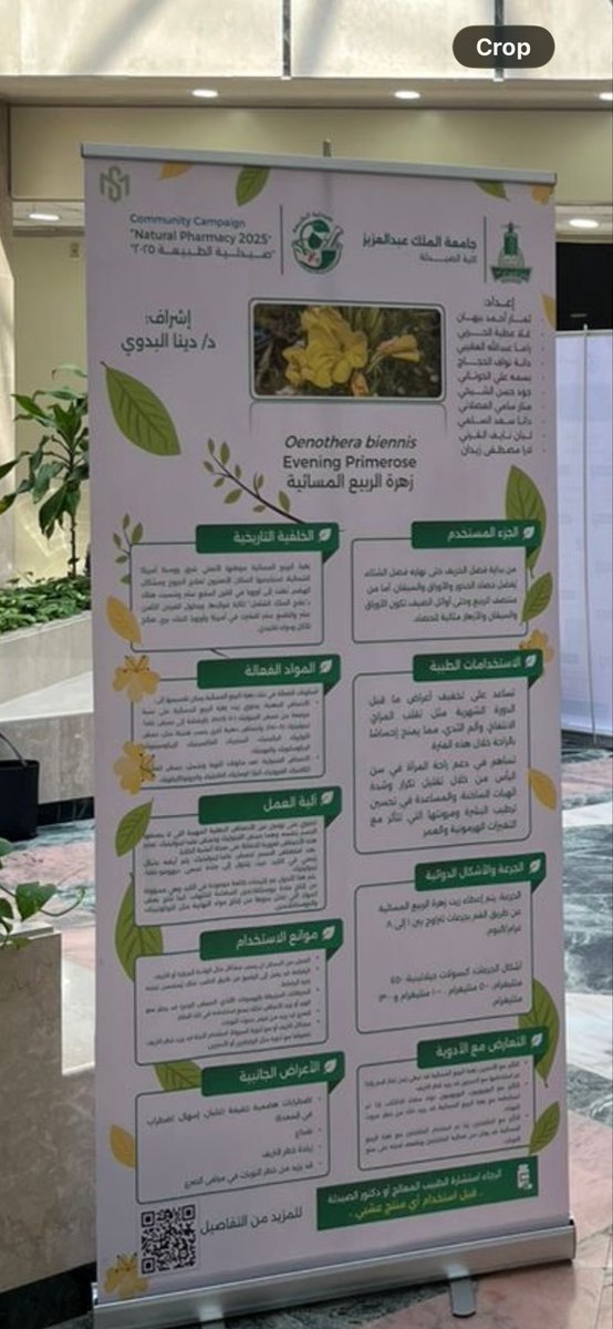 Dinahanim's tweet photo. طالباتي الرائعات، أحببت أن أشكركم من قلبي على العرض المشرف للبوستر اليوم.
كوني المشرفة عليكم، كنت أراقب تطوركم وجهدكم في إعداد المادة العلمية، و اليوم كنت فخورة جداً بمستواكم العلمي وبأدائكم. الله يوفقكم ومن نجاح لنجاح أكبر يا رب.

#NaturalPharmacy2025 https://t.co/pnUBJhChI6