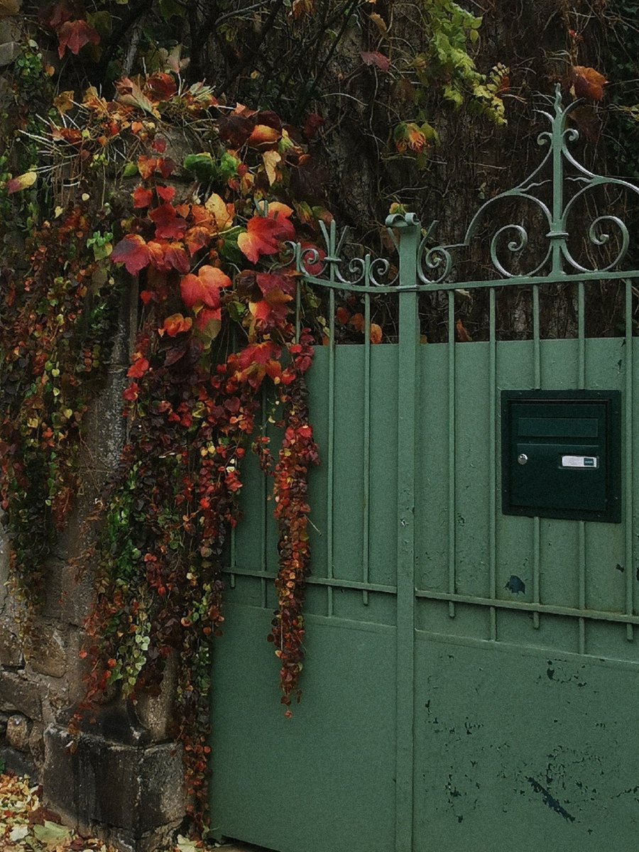 Roindrops's tweet photo. fragments of beauty https://t.co/rA0pZOPTbJ