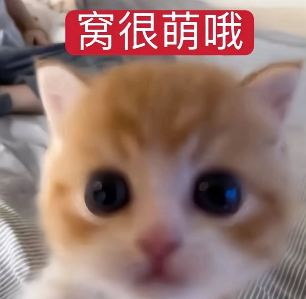 lna1202's tweet photo. 突击检查，晚上吃的啥！ https://t.co/DFUTaGiUfq