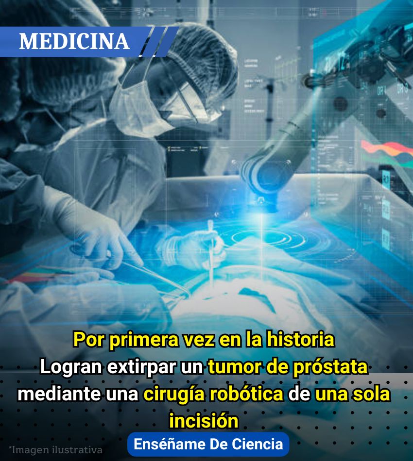 EnsedeCiencia's tweet photo. https://t.co/CqtCuZ4QV4