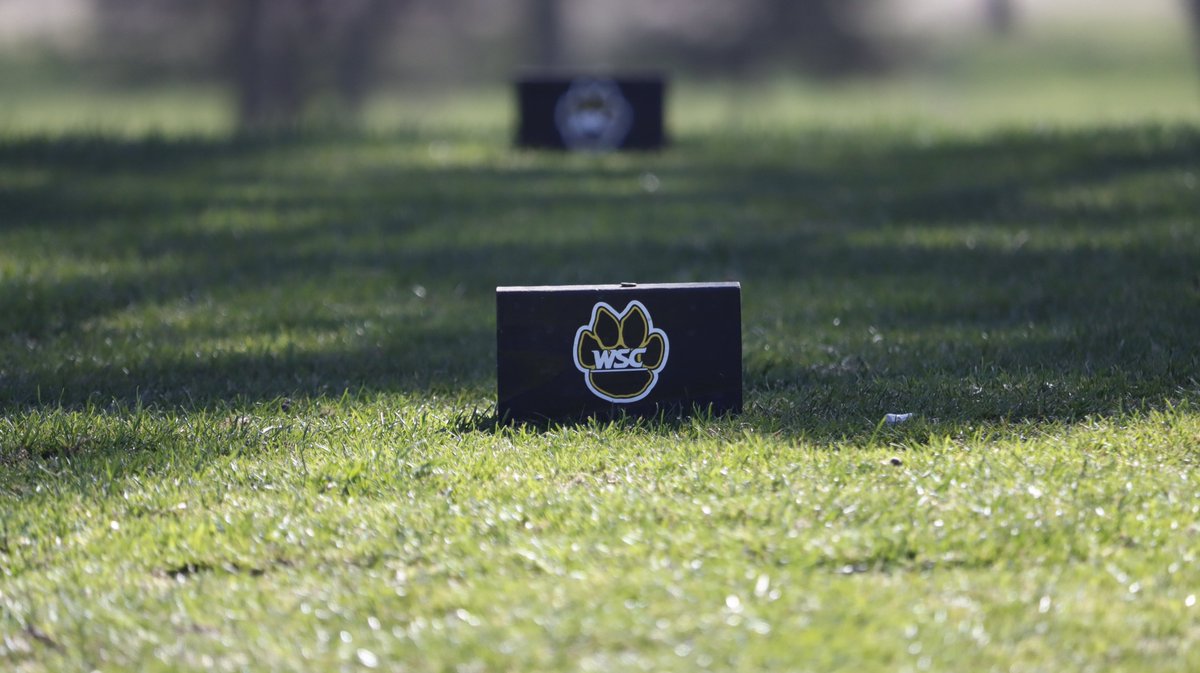 Wayne State Wildcats tweet media