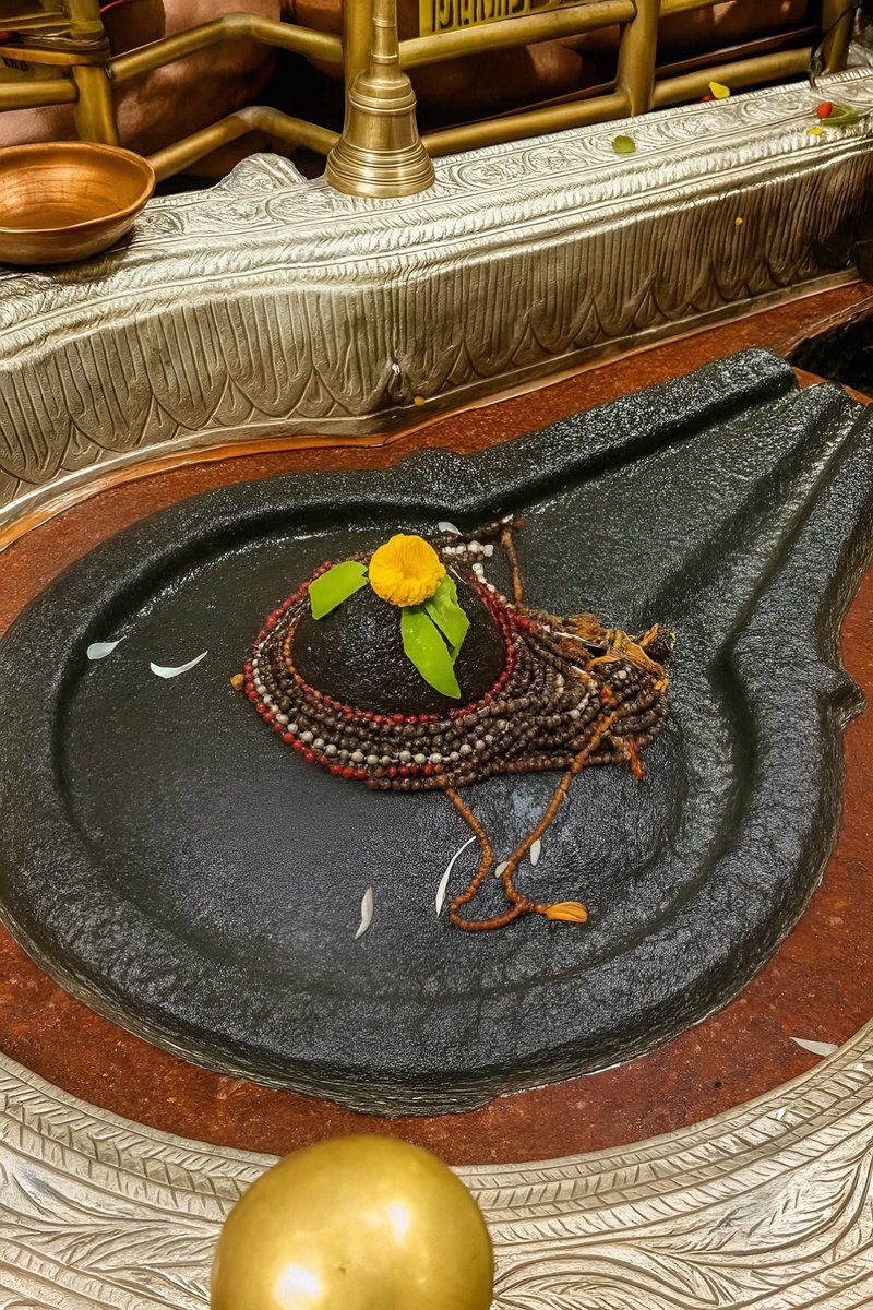 12Jyotirling's tweet image. श्री भीमाशंकर ज्योतिर्लिंग जी के आज के संध्या आरती श्रृंगार दर्शन 19.11.2025