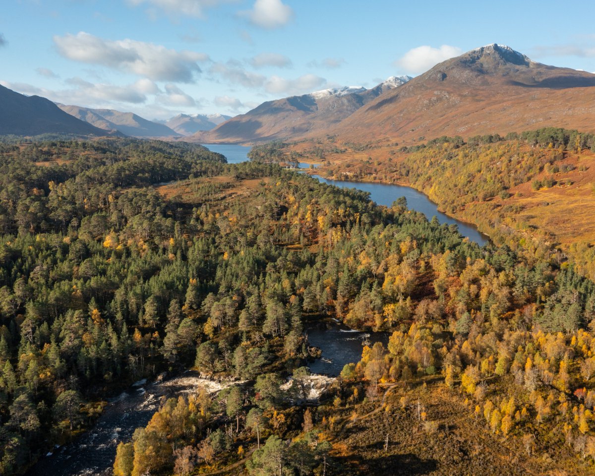 Rewilding Affric Highlands tweet media