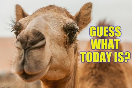 Drumming.com tweet media