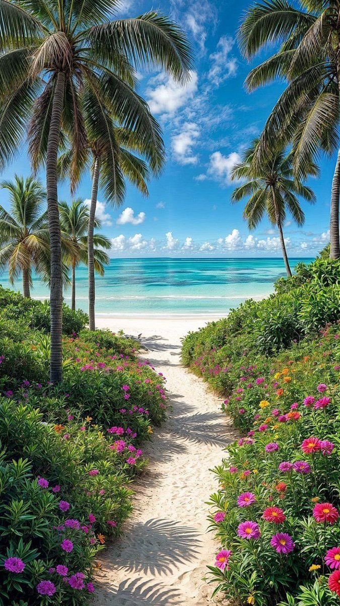 Amazing Nature (@amazingpicshq) on Twitter photo 