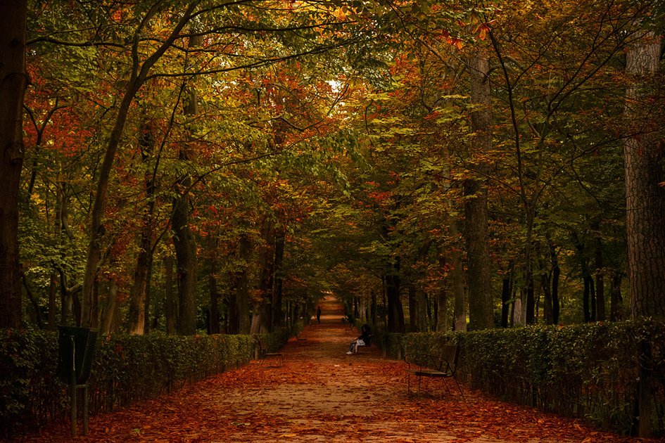 CLL49's tweet image. Sélection de #Parcs citadins en Europe. #Mercredi  
Le parc du Retiro est un grand parc de 125 hectares situé à #Madrid 🇪🇸 Il fut créé entre 1630 et 1640 et est inscrit sur la liste du patrimoine mondial par l&apos;UNESCO depuis 2021. #Photographie #Photography via Wikipédia #Parks 🏞️