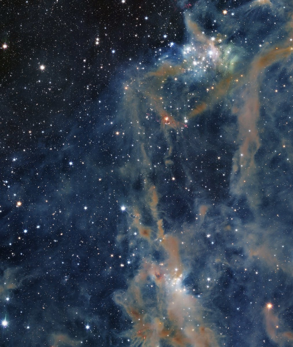 C4COMPUTATION's tweet image. What is the Lambent Society?

An umbrella organization I‘m founding that will house an emergence + computation institute ecosystem, entrepreneurial, as well as arts + culture initiatives for the public good, and privacy projects.  

When I regain a secure machine I’ll finish…