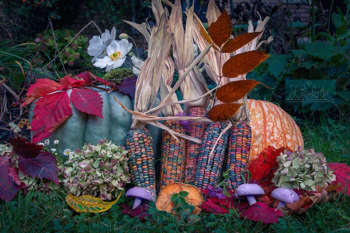 EmetHelp's tweet image. #WistfulWednesday
 
#emetophobia #emetophobiahelp #emetophobiatreatment #emetophobic #emetophobiaresources #emetophobiarecovery #mentalhealth #anxiety #anxietyrecovery #phobia #fearofvomiting