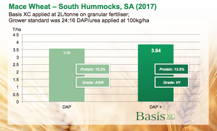 Trials from South Australia show wheat yield gains when Basis XC is used with granular fertilisers to improve nutrient availability and enhance nutrient utilisation by the crop. hubs.la/Q03TFnQ30