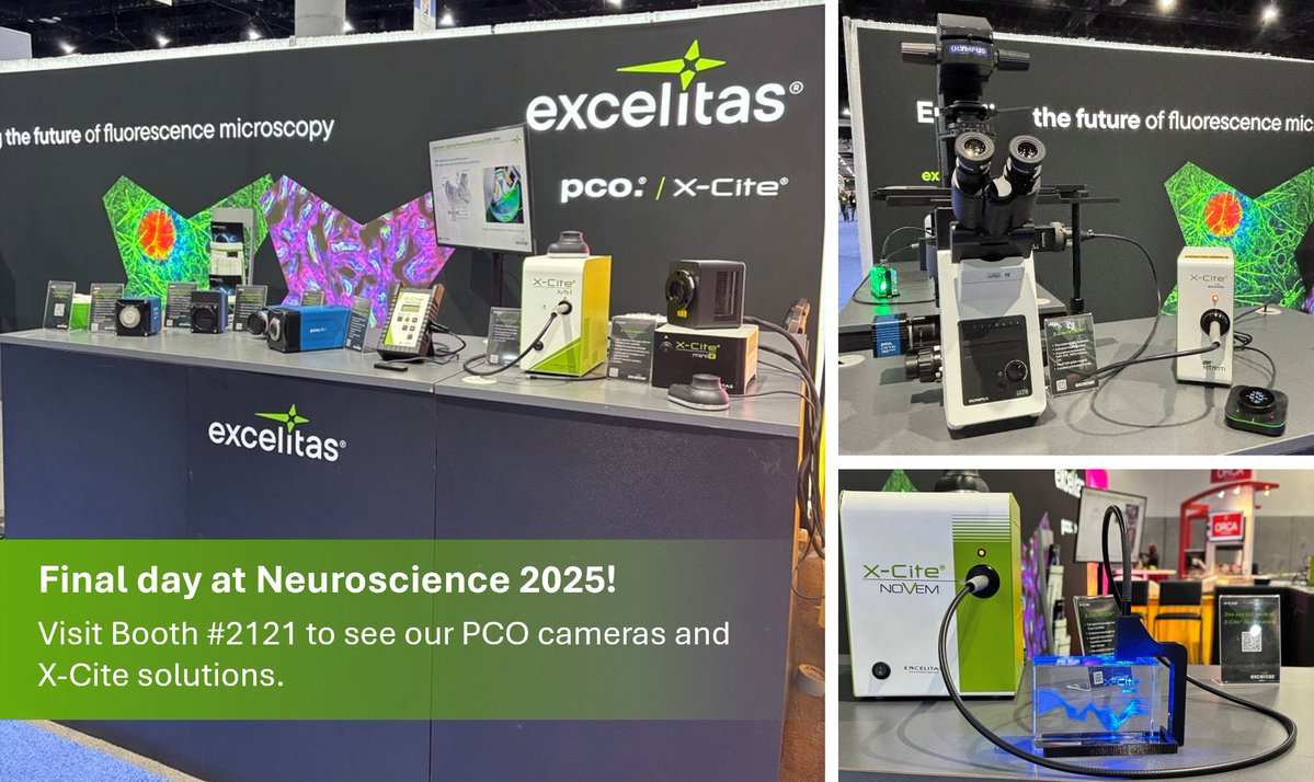 Excelitas's tweet image. Don’t miss your chance to visit #Excelitas at #Neuroscience2025!  

⏰ Stop by Booth #2121 today to see our leading #PCOcameras &amp;amp; X-Cite #fluorescenceillumination solutions. ow.ly/EsOn50Xub2g  

#FluorescenceMicroscopy #ScientificImaging #LifeSciences