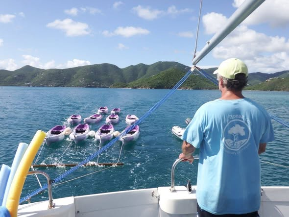 DEI_Greta's tweet image. Who wants to go snorkeling at Hurricane Hole National Monument?🤿🤿