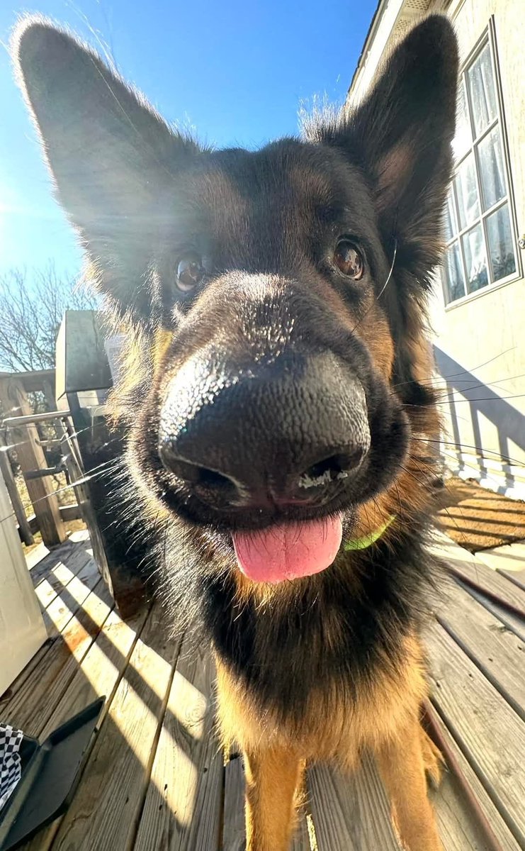 twaniimals's tweet image. 