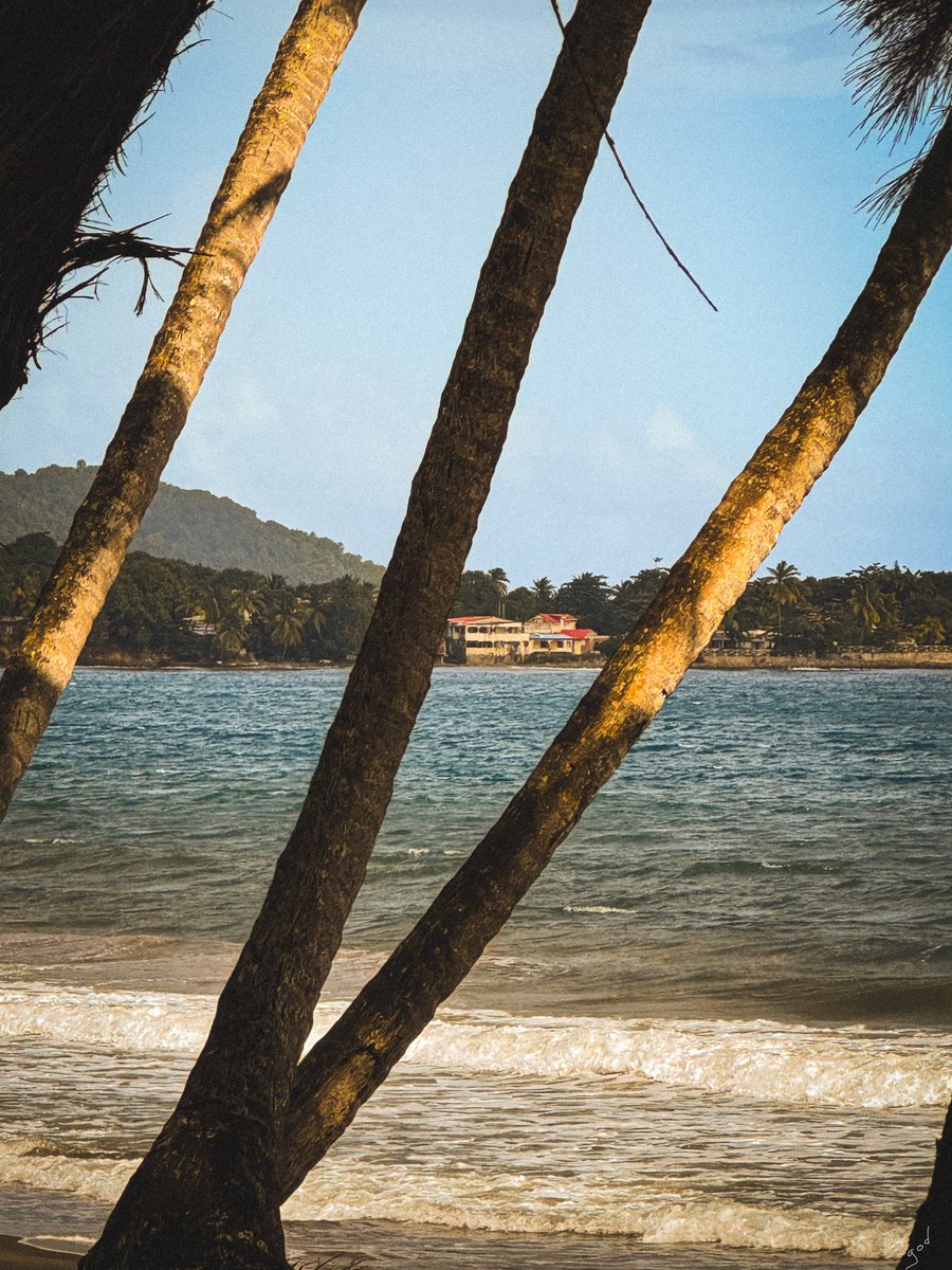 Southside Johny (@oncle9od) on Twitter photo 