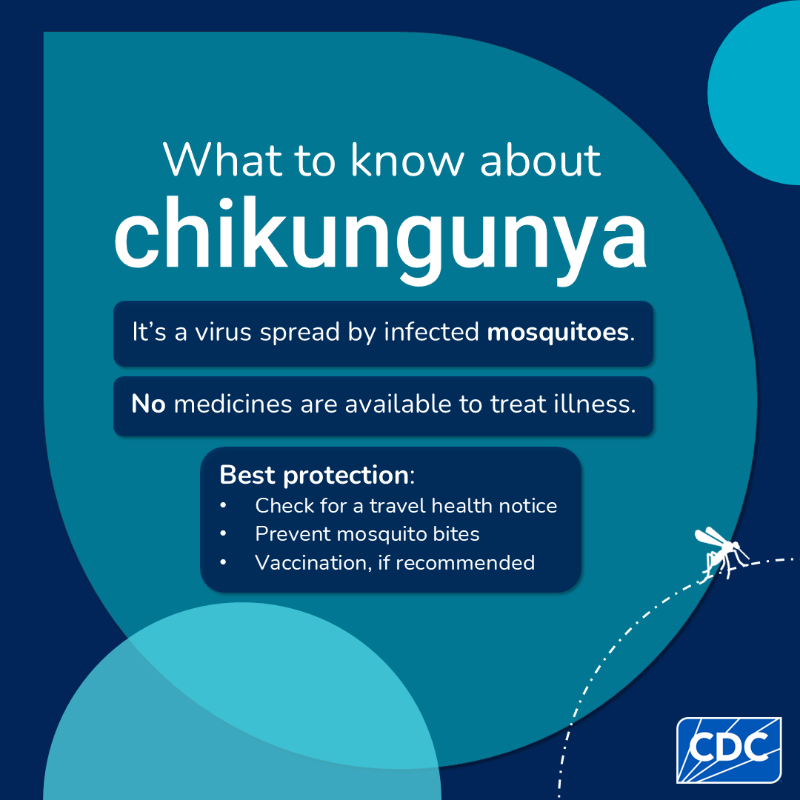 CDCGlobal's tweet photo. Chikungunya has been in the news a lot this year, and for good reason: a bite from an infected mosquito can result in fever, severe joint pain, and more. 

Take steps to prevent mosquito bites if you’re in an area with risk of chikungunya!