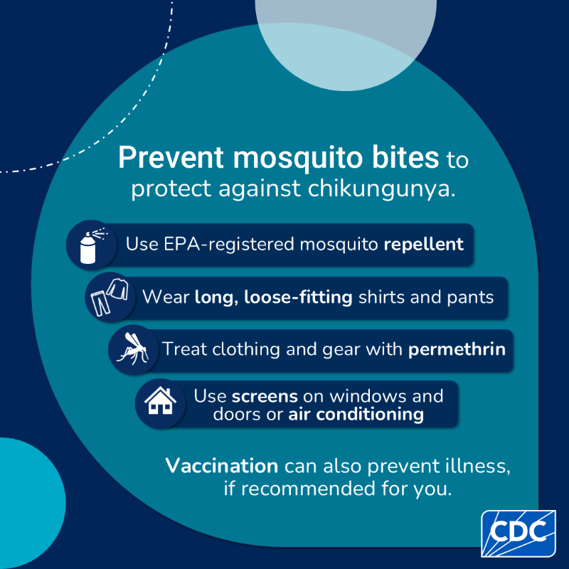CDCGlobal's tweet photo. Chikungunya has been in the news a lot this year, and for good reason: a bite from an infected mosquito can result in fever, severe joint pain, and more. 

Take steps to prevent mosquito bites if you’re in an area with risk of chikungunya!