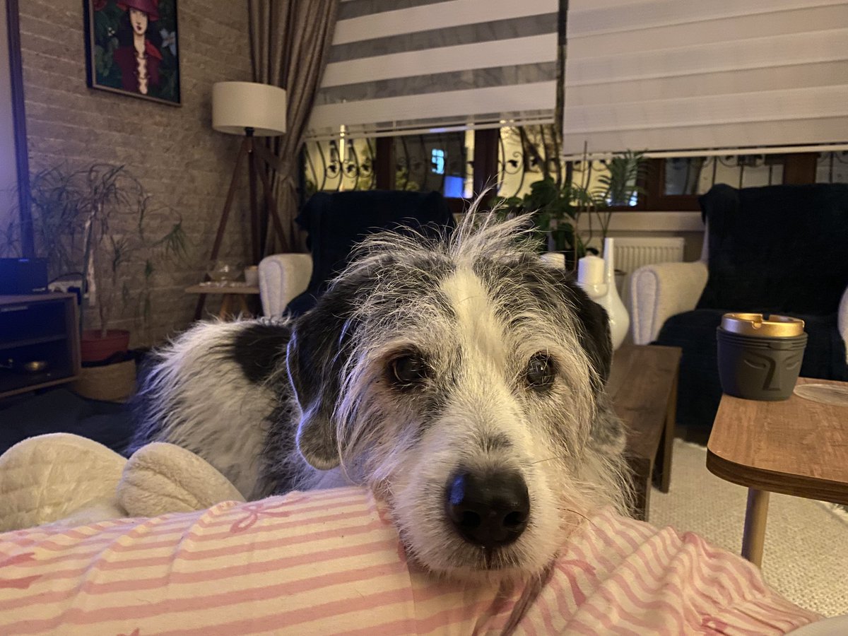 yemegimi paylasmiyorum diye boyle bakiyo anasi kimse gelsin alsin