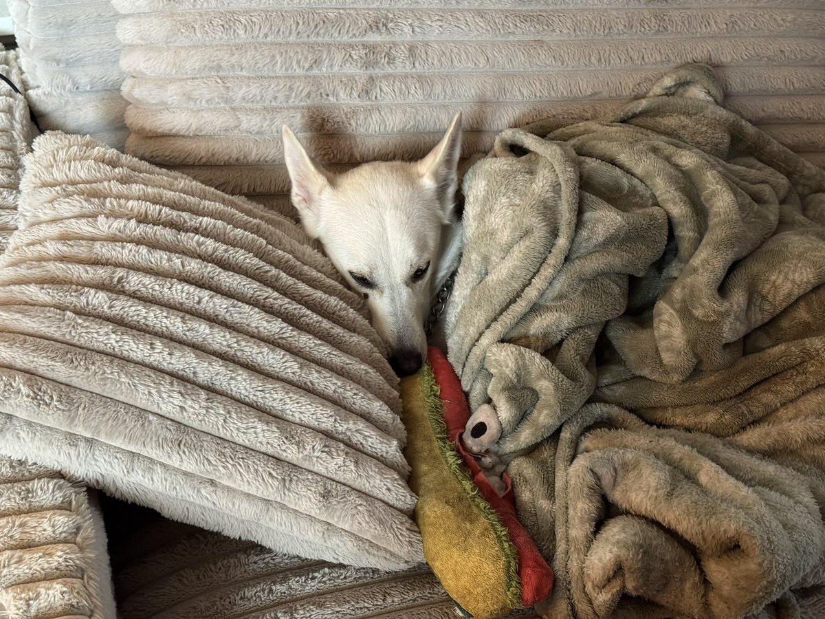 HadeanTides's tweet image. 