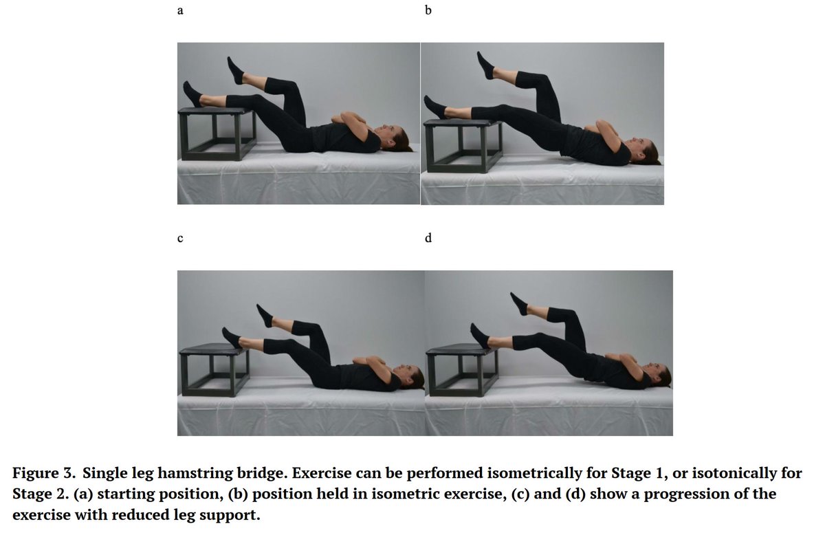 PhysioMeScience's tweet image. Hot off the press 🔥

𝗣𝗵𝘆𝘀𝗶𝗼𝘁𝗵𝗲𝗿𝗮𝗽𝘆 𝗖𝗼𝗺𝗽𝗮𝗿𝗲𝗱 𝗪𝗶𝘁𝗵 𝗦𝗵𝗼𝗰𝗸𝘄𝗮𝘃𝗲 𝗧𝗵𝗲𝗿𝗮𝗽𝘆 𝗳𝗼𝗿 𝘁𝗵𝗲 𝗧𝗿𝗲𝗮𝘁𝗺𝗲𝗻𝘁 𝗼𝗳 𝗣𝗿𝗼𝘅𝗶𝗺𝗮𝗹 𝗛𝗮𝗺𝘀𝘁𝗿𝗶𝗻𝗴 𝗧𝗲𝗻𝗱𝗶𝗻𝗼𝗽𝗮𝘁𝗵𝘆 - 𝗔 RCT

pubmed.ncbi.nlm.nih.gov/41243328/