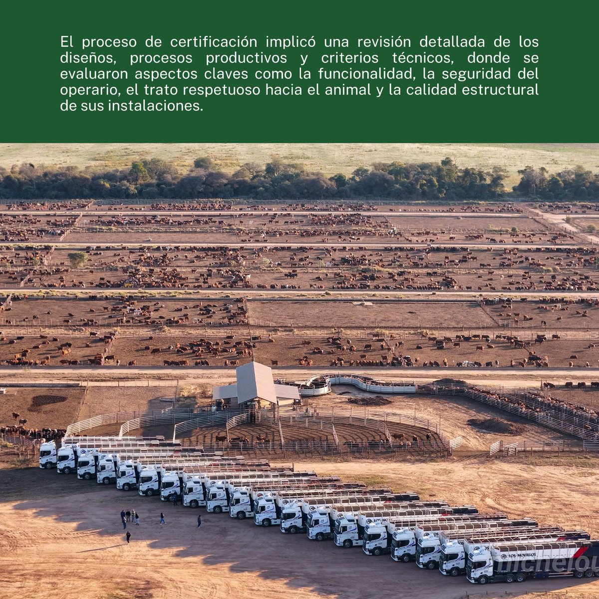 liafcontrol's tweet photo. #FARMQUIP logró el sello de BIENESTAR ANIMAL certificado por LIAF Control 👏🐂 👏

@farmquipoficial es la 1° empresa argentina certificada por LIAF en el diseño y fabricación de #instalaciones #ganaderas cumpliendo con los más altos estándares en el rubro https://t.co/0j569ge5ac https://t.co/WqeWaeVdik