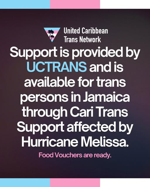 United Caribbean Trans Network tweet media