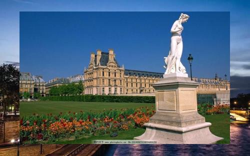 choppppppppp's tweet image. 🤖Ladybug crawls slow💆Today’s rain will stop; tomorrow you’ll feel better🛬