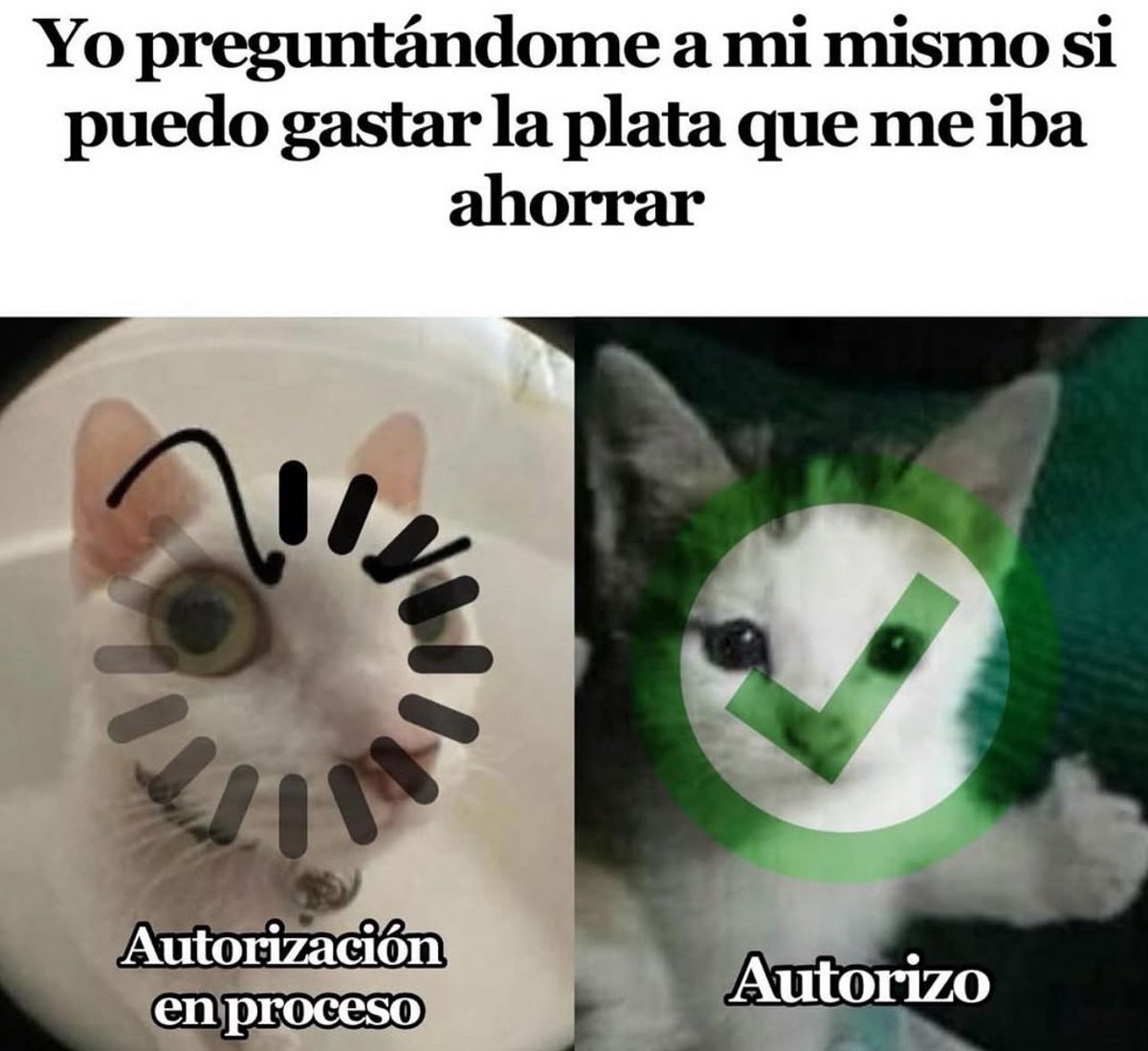 piña sin pizza (@skereunpesado) on Twitter photo 