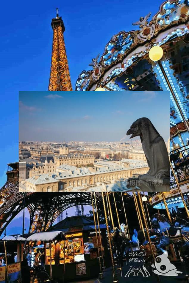 IjInvisible's tweet image. 📹Duck’s eyes black🥥A restless soul transforms beyond the veil when no one is watching.📕