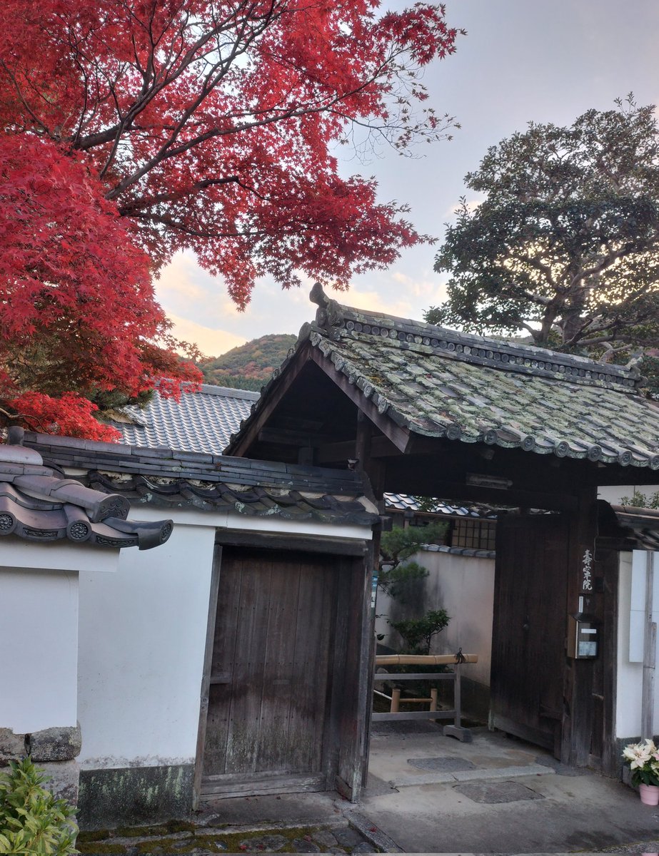 NjXFI343s9SzE3d's tweet image. 昨日、行った京都嵐山です。
情報では見頃になって
いましたが、後、少しな
感じでした。
また、感動を求めて
訪れたいです。
紅葉を見ると嬉しいの
ですが、生きていくことの
つらさも同時に思い出します。
#HSP
#HSS型HSP