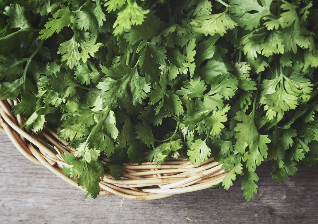 المعادن الثقيلة كالنيكل والألمنيوم والرصاص والقصدير كونها غير قابلة للذوبان في الماء ولا في عصارة الصفراء لذلك يتم خزنها بداية بالعظام والمفاصل وهذه هي بداية الالم 

المشكلة تحدث حين تتسرب للدم فتتغذى عليها البكتريا الضارة 

نصيحة: اعتمدوا الكزبرة الطازجة في السلطة يوميا فهي قوية