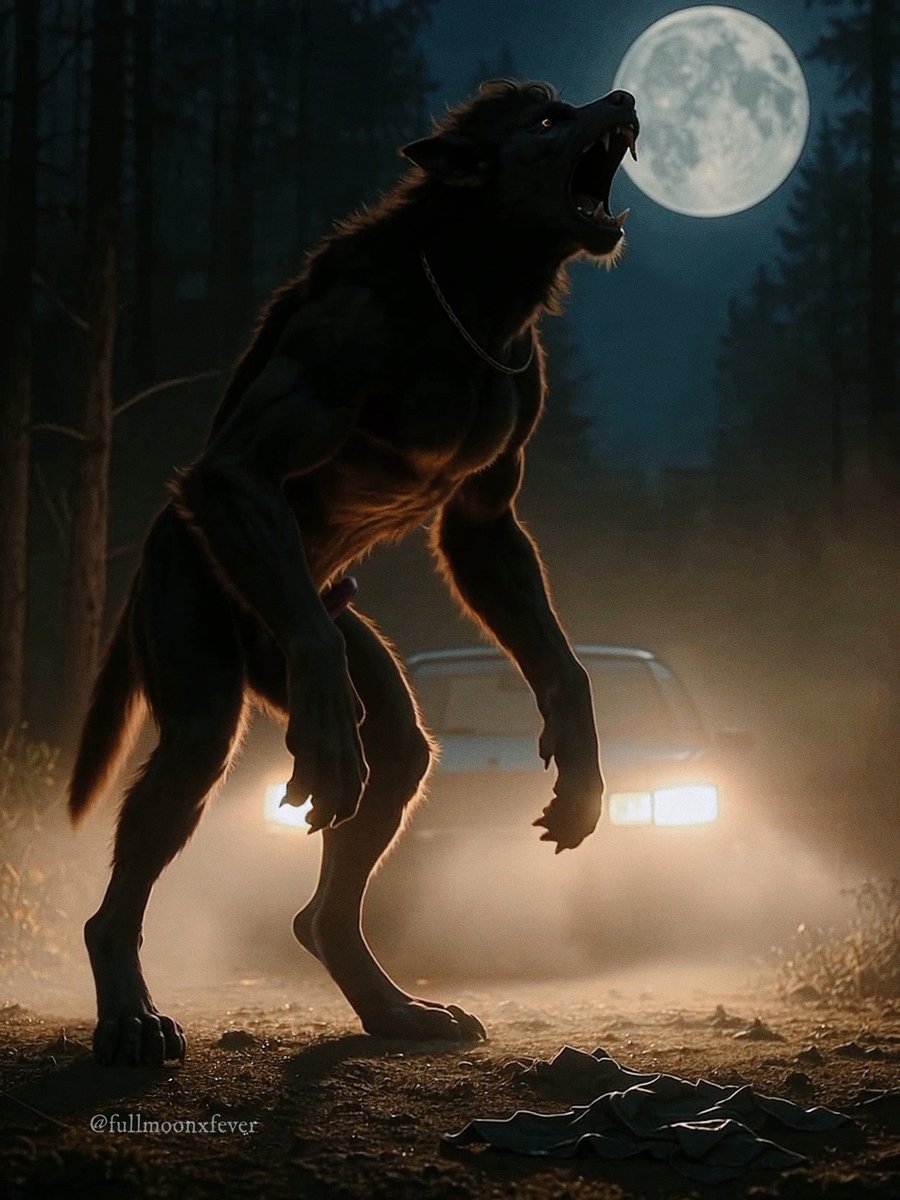 fullmoonfever tweet media