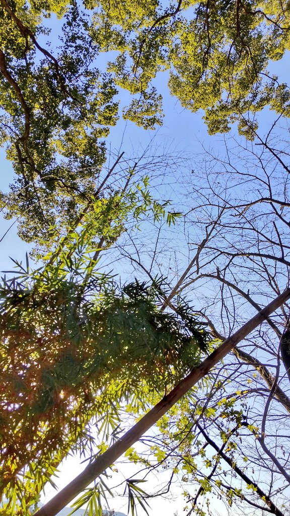 おはようございます。