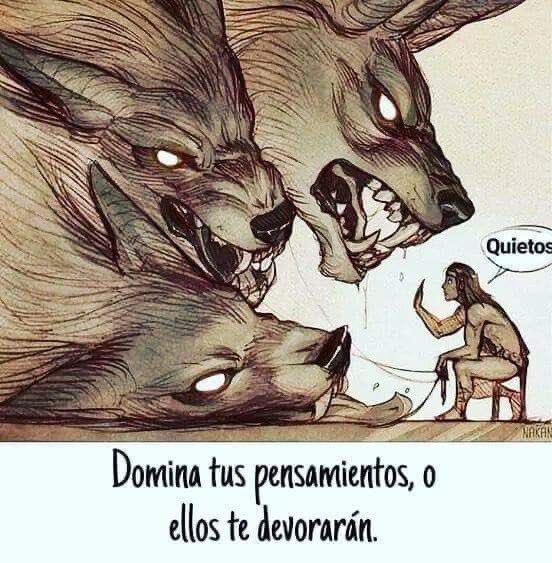 eligedisciplina's tweet image. 