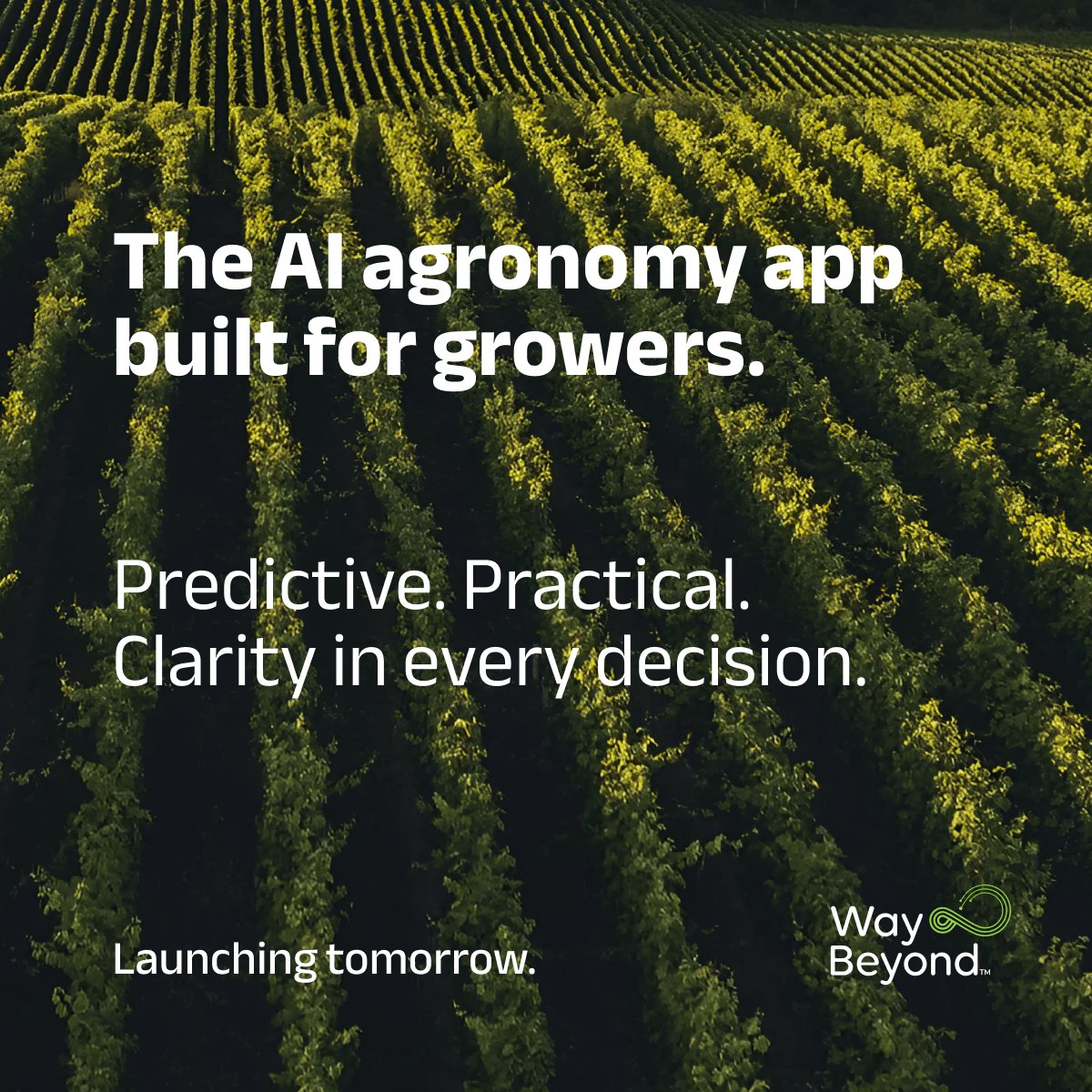 WayBeyond tweet media