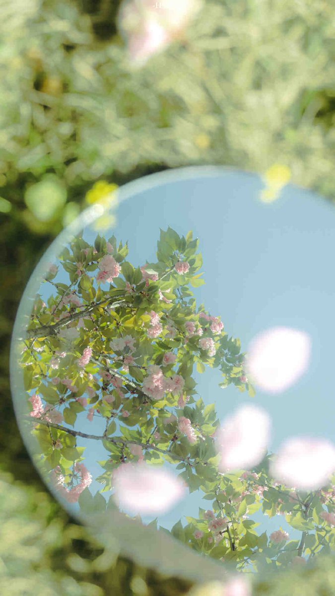 greendreaams's tweet image. 