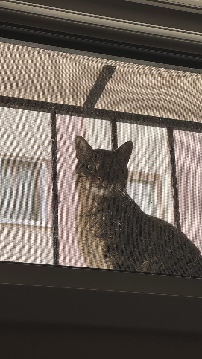 Son zamanlarda çektiğim en iyi foto