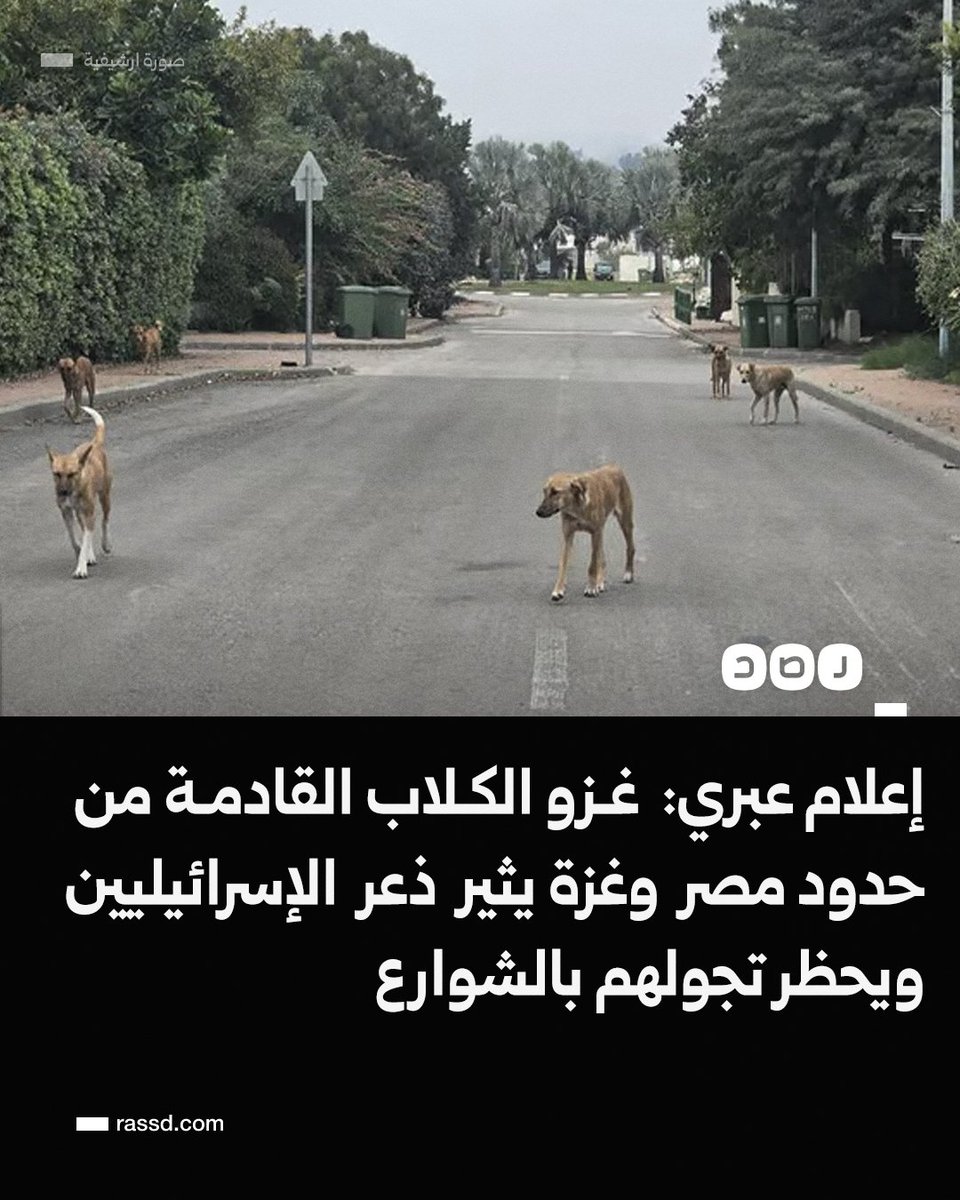 RassdNewsN's tweet photo. تغطية صحفية| يديعوت أحرونوت العبرية تتحدث عن استغاثات المستوطنين من غزو آلاف الكلاب الضالة القادمة من حدود مصر وغزة، والتي تعقر وتطارد سكان المستوطنات وتحظر تجولهم، وسط عجز الاحتلال عن حل المشكلة https://t.co/pOzqlAZ2I1