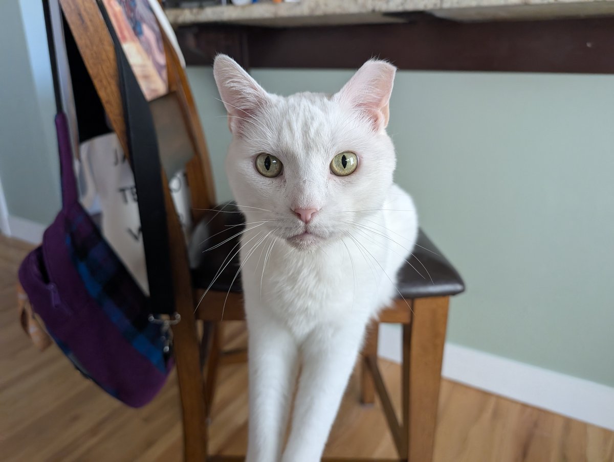 Alayna Danner tweet media