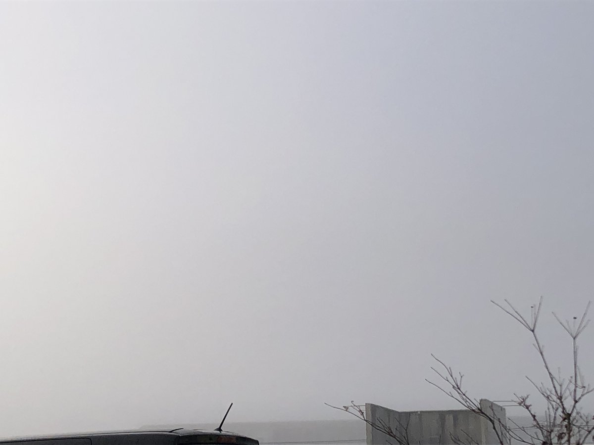 2023_ipW's tweet image. #富士山　＃富士河口湖町
おはようございます。今朝は霧かかっています。富士山も見えません。今日は晴れる予報です。あと、11/20は山梨県民の日で勤務先がお休みです。