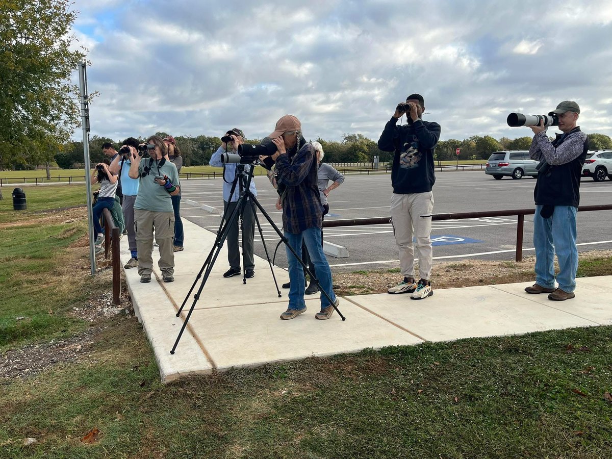 That Bird Guy! tweet media