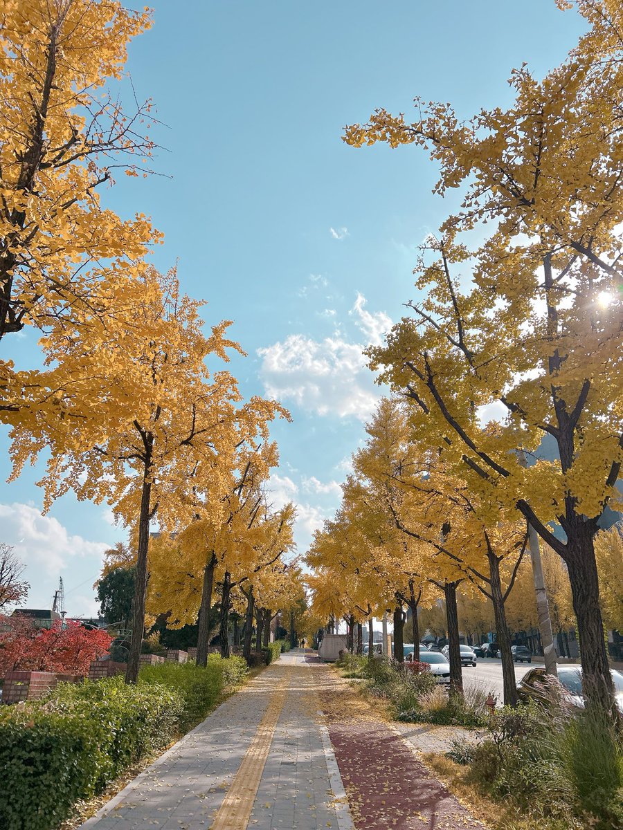 012whgdkgo's tweet image. 3일이 너무 와라락 지나가서 슬펐지만 
눈에 가득 담았던 모습들이 
오래오래 남아 있어 !!! 
창섭이 말대로 찐~ 하게 남은 그 기억들 덕분에
꿈이 아니구나 하는 중 😝

#짱섭짱친_이렇게_우린_장충에_있잖아 
#EndAnd 인천에서 또 보자